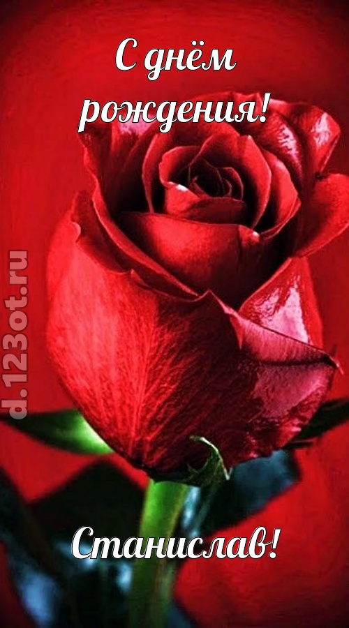 осторожная открытка с днём рождения станислав, скачать онлайн бесплатно на iphone для вацап, поздравление станислав