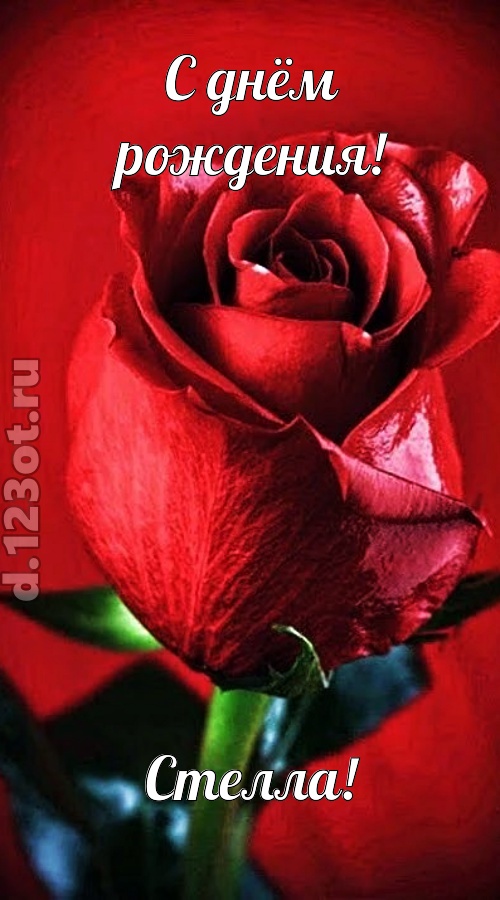 осторожная открытка с днём рождения стелла, скачать онлайн бесплатно на iphone для вацап, поздравление стелла