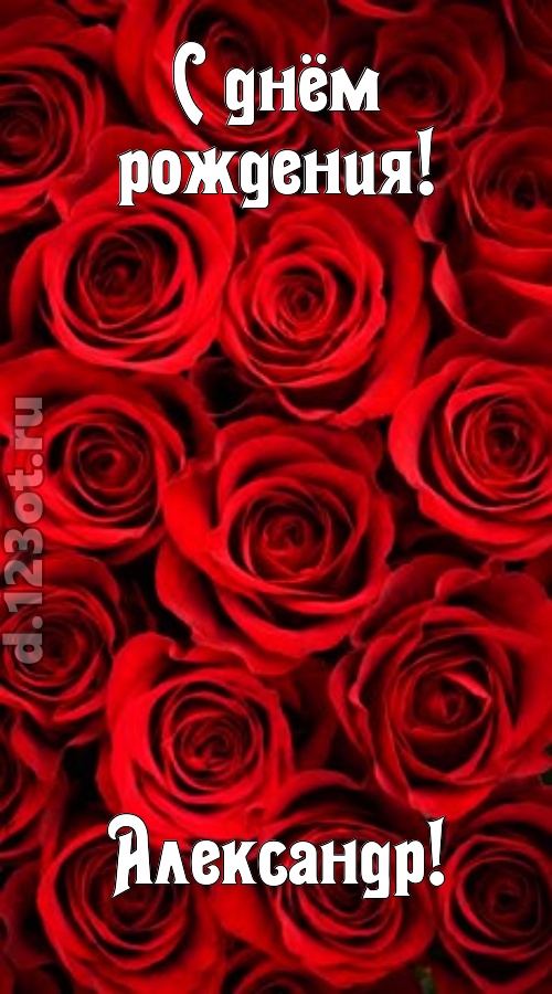 остроумная открытка с днём рождения александр, скачать онлайн бесплатно на iphone для вацап, поздравление александр