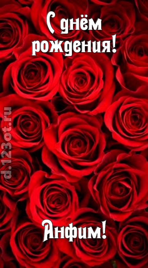 остроумная открытка с днём рождения анфим, скачать онлайн бесплатно на iphone для вацап, поздравление анфим