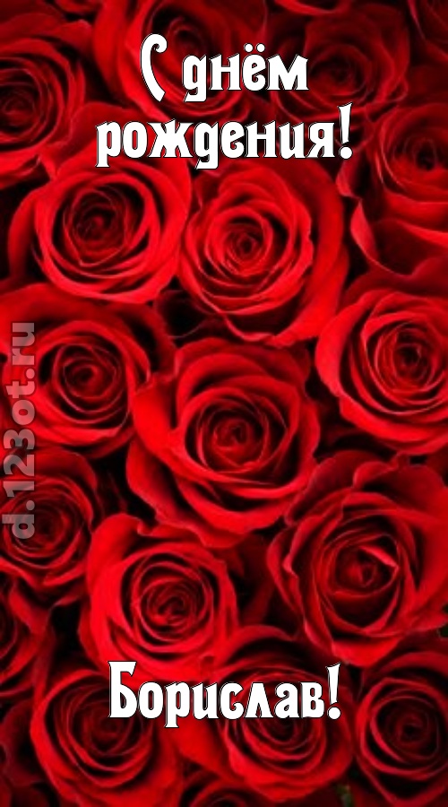 остроумная открытка с днём рождения борислав, скачать онлайн бесплатно на iphone для вацап, поздравление борислав
