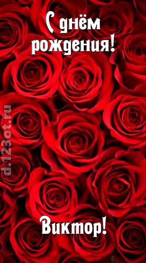 остроумная открытка с днём рождения виктор, скачать онлайн бесплатно на iphone для вацап, поздравление виктор