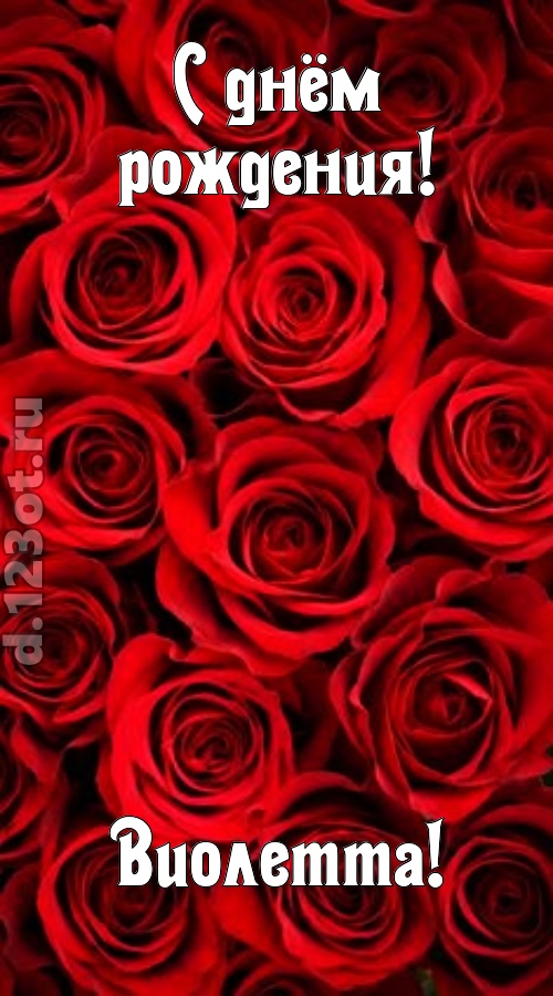 остроумная открытка с днём рождения виолетта, скачать онлайн бесплатно на iphone для вацап, поздравление виолетта
