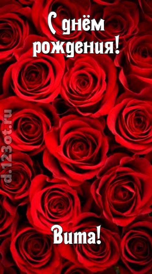 остроумная открытка с днём рождения вита, скачать онлайн бесплатно на iphone для вацап, поздравление вита