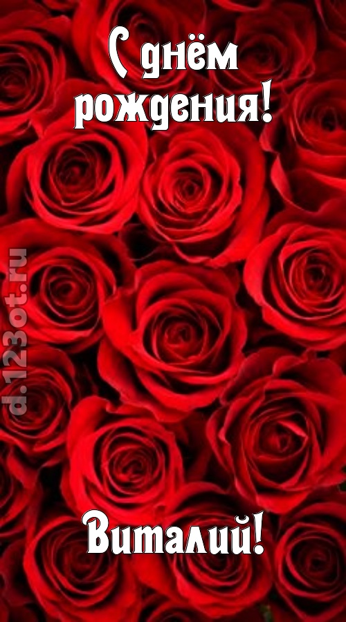 остроумная открытка с днём рождения виталий, скачать онлайн бесплатно на iphone для вацап, поздравление виталий