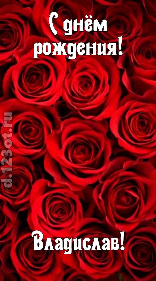 остроумная открытка с днём рождения владислав, скачать онлайн бесплатно на iphone для вацап, поздравление владислав