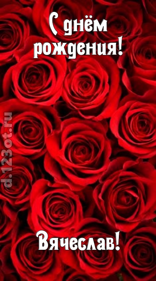 остроумная открытка с днём рождения вячеслав, скачать онлайн бесплатно на iphone для вацап, поздравление вячеслав