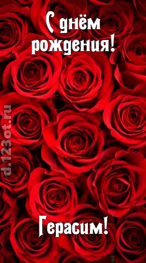 остроумная открытка с днём рождения герасим, скачать онлайн бесплатно на iphone для вацап, поздравление герасим