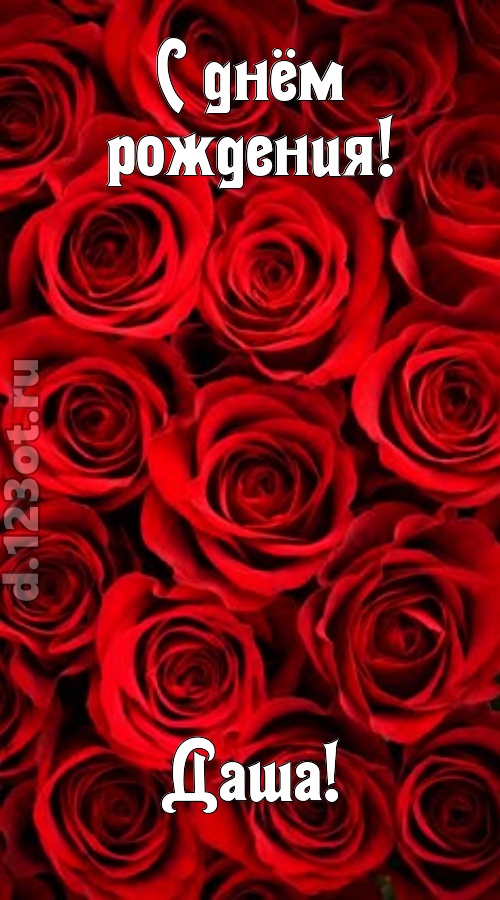 остроумная открытка с днём рождения даша, скачать онлайн бесплатно на iphone для вацап, поздравление даша