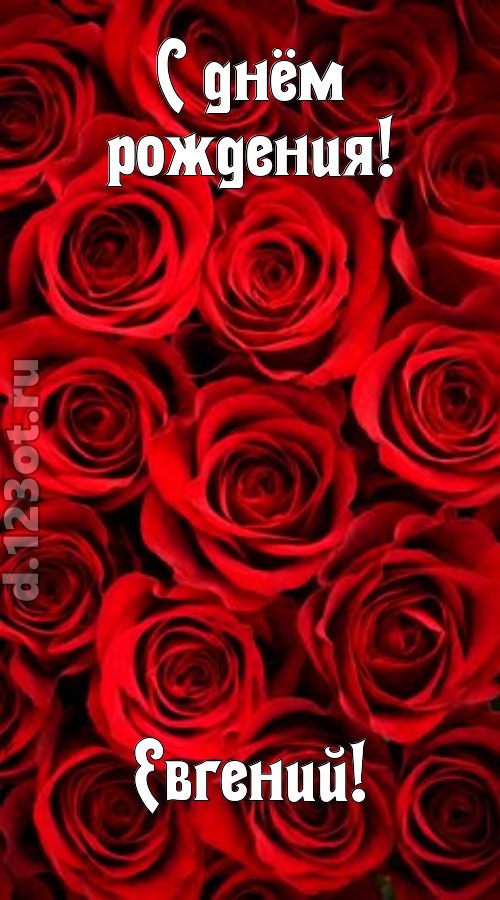 остроумная открытка с днём рождения евгений, скачать онлайн бесплатно на iphone для вацап, поздравление евгений