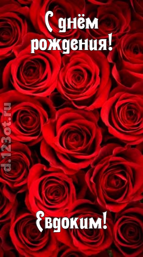 остроумная открытка с днём рождения евдоким, скачать онлайн бесплатно на iphone для вацап, поздравление евдоким