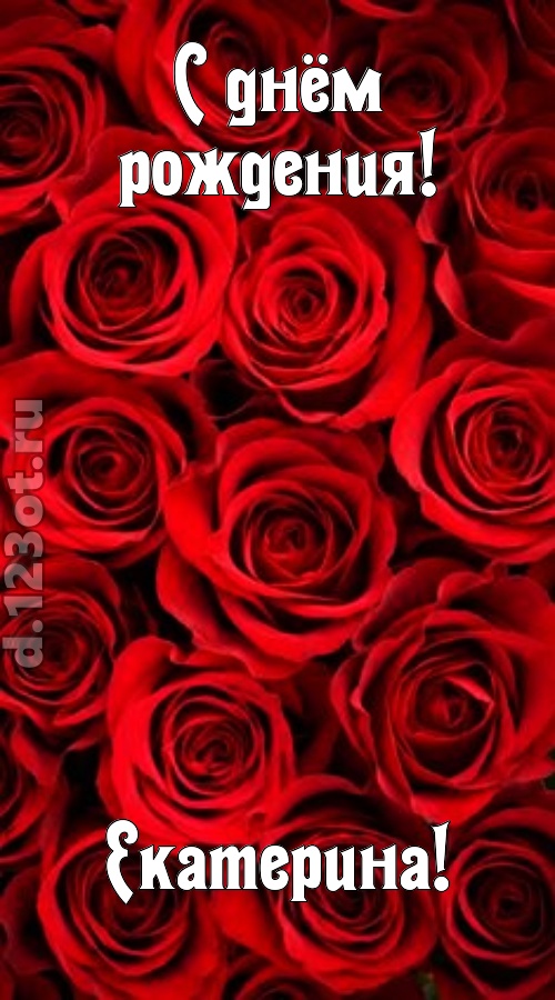 остроумная открытка с днём рождения екатерина, скачать онлайн бесплатно на iphone для вацап, поздравление екатерина