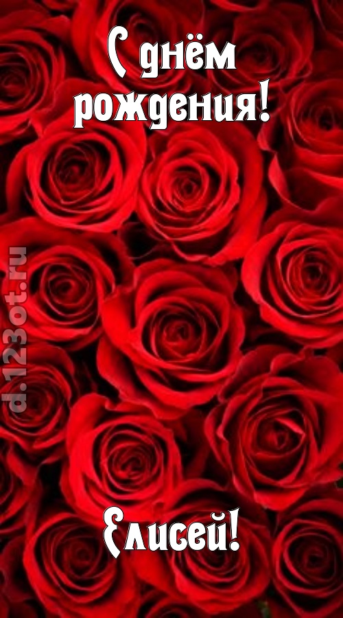 остроумная открытка с днём рождения елисей, скачать онлайн бесплатно на iphone для вацап, поздравление елисей