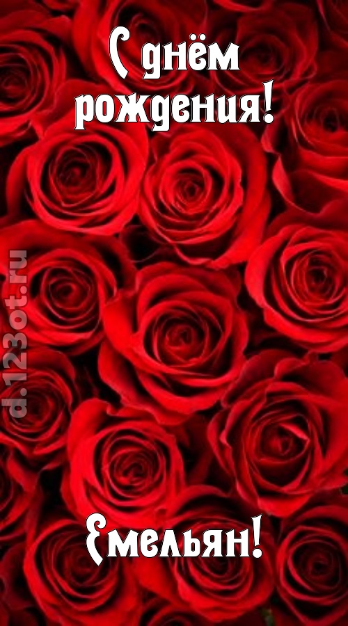 остроумная открытка с днём рождения емельян, скачать онлайн бесплатно на iphone для вацап, поздравление емельян