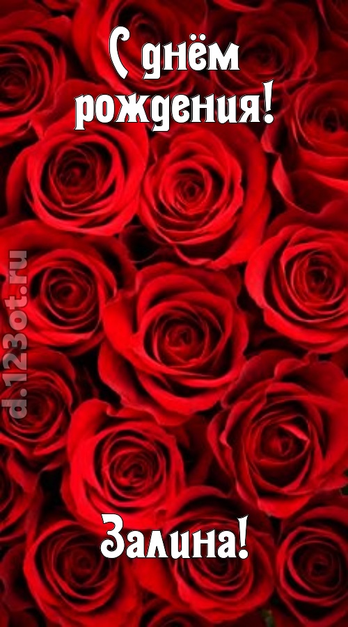 остроумная открытка с днём рождения залина, скачать онлайн бесплатно на iphone для вацап, поздравление залина