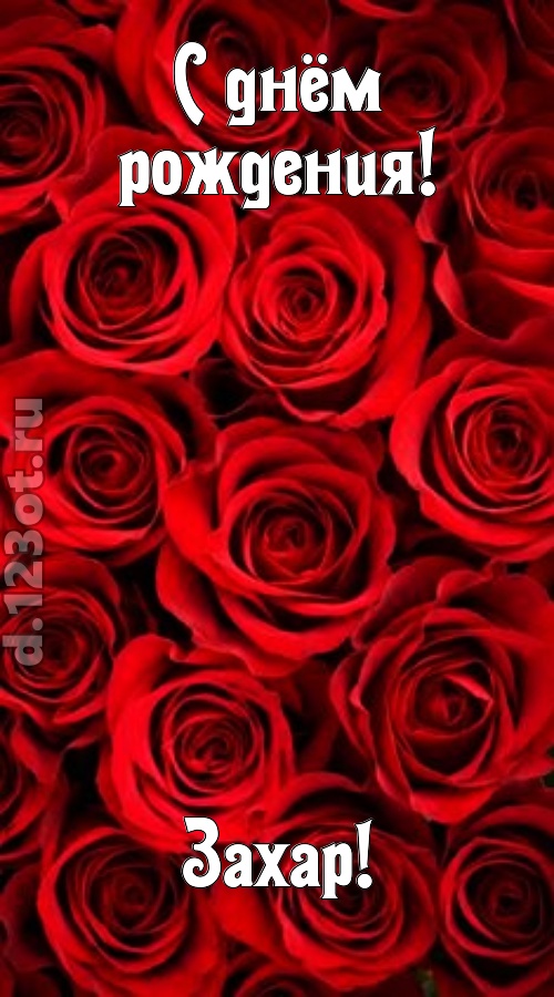 остроумная открытка с днём рождения захар, скачать онлайн бесплатно на iphone для вацап, поздравление захар