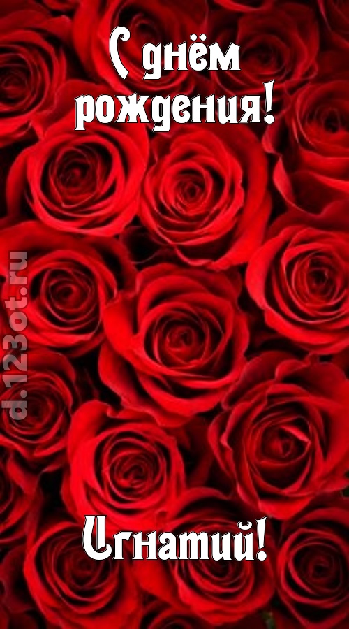 остроумная открытка с днём рождения игнатий, скачать онлайн бесплатно на iphone для вацап, поздравление игнатий