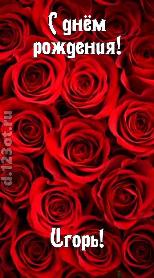 остроумная открытка с днём рождения игорь, скачать онлайн бесплатно на iphone для вацап, поздравление игорь