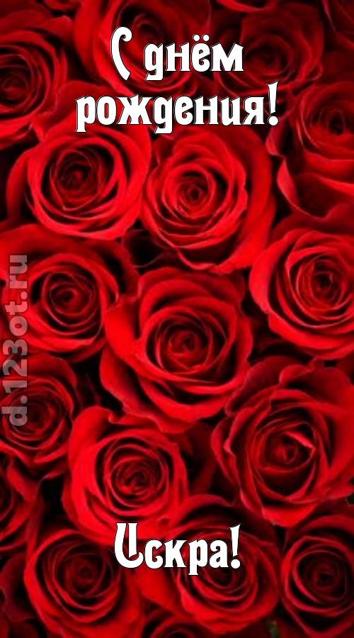 остроумная открытка с днём рождения искра, скачать онлайн бесплатно на iphone для вацап, поздравление искра