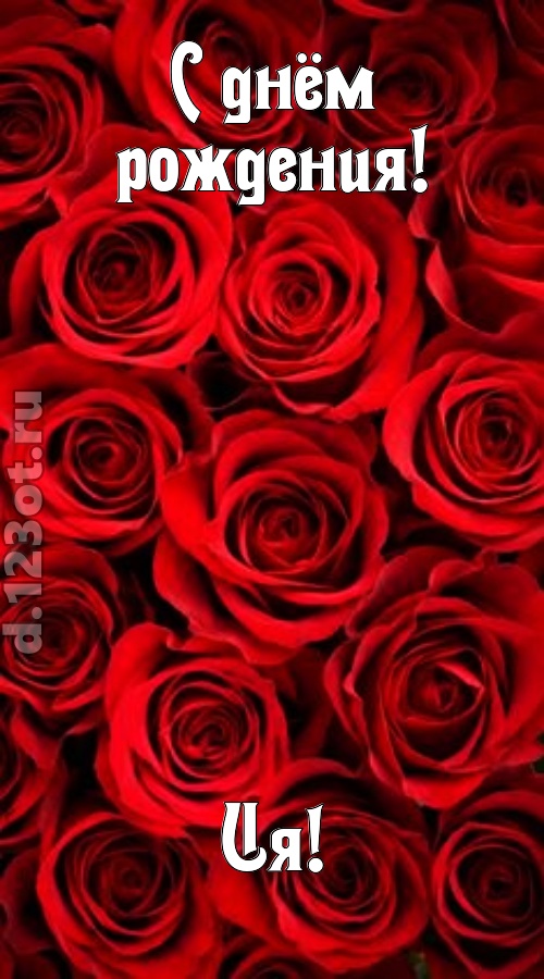 остроумная открытка с днём рождения ия, скачать онлайн бесплатно на iphone для вацап, поздравление ия