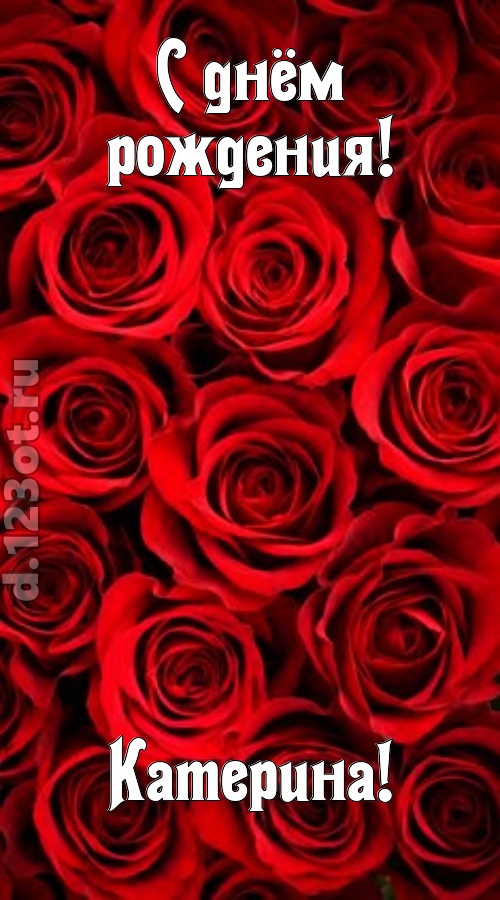 остроумная открытка с днём рождения катерина, скачать онлайн бесплатно на iphone для вацап, поздравление катерина