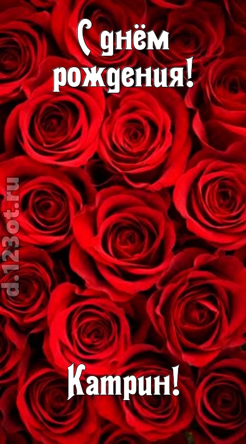 остроумная открытка с днём рождения катрин, скачать онлайн бесплатно на iphone для вацап, поздравление катрин