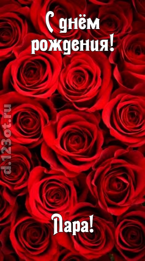 остроумная открытка с днём рождения лара, скачать онлайн бесплатно на iphone для вацап, поздравление лара