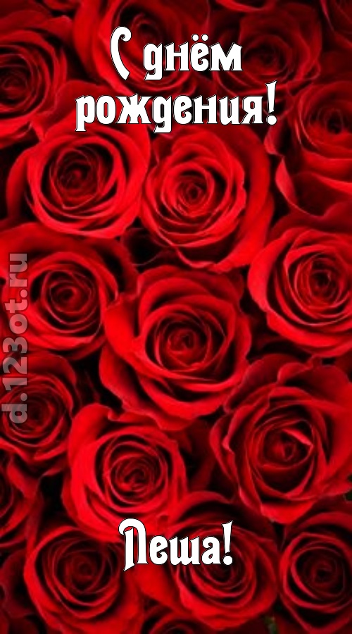 остроумная открытка с днём рождения леша, скачать онлайн бесплатно на iphone для вацап, поздравление леша