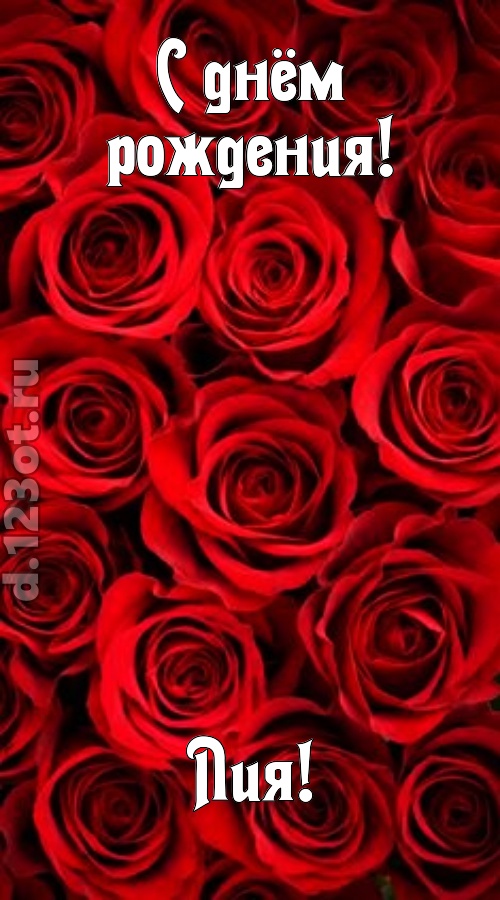 остроумная открытка с днём рождения лия, скачать онлайн бесплатно на iphone для вацап, поздравление лия