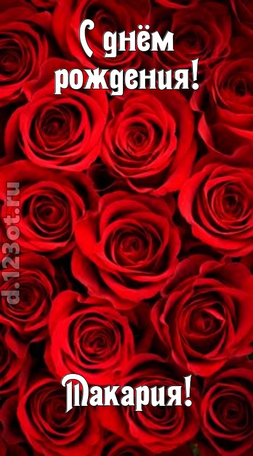 остроумная открытка с днём рождения макария, скачать онлайн бесплатно на iphone для вацап, поздравление макария