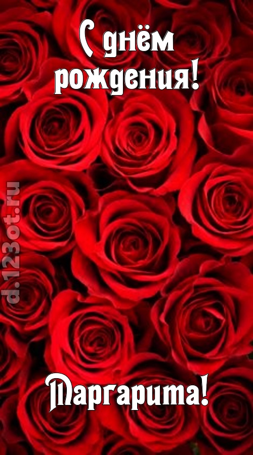 остроумная открытка с днём рождения маргарита, скачать онлайн бесплатно на iphone для вацап, поздравление маргарита