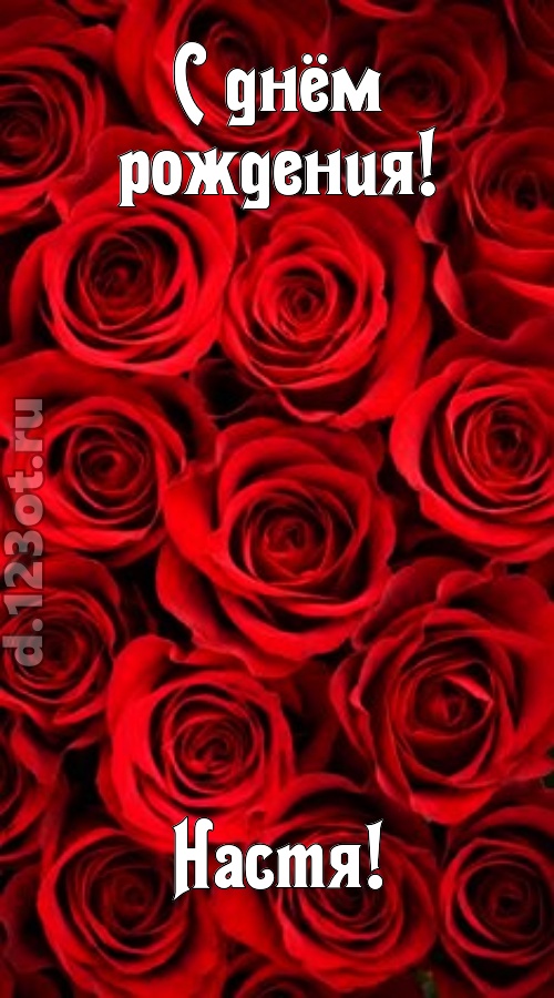 остроумная открытка с днём рождения настя, скачать онлайн бесплатно на iphone для вацап, поздравление настя