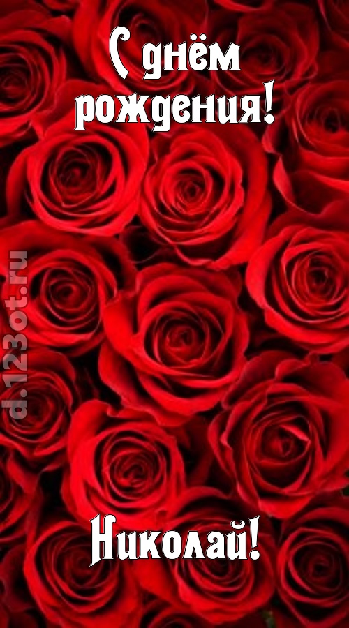 остроумная открытка с днём рождения николай, скачать онлайн бесплатно на iphone для вацап, поздравление николай