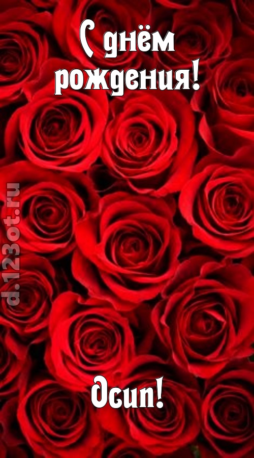 остроумная открытка с днём рождения осип, скачать онлайн бесплатно на iphone для вацап, поздравление осип