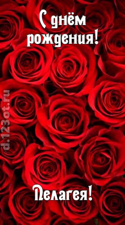 остроумная открытка с днём рождения пелагея, скачать онлайн бесплатно на iphone для вацап, поздравление пелагея