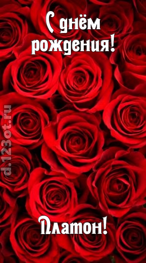 остроумная открытка с днём рождения платон, скачать онлайн бесплатно на iphone для вацап, поздравление платон
