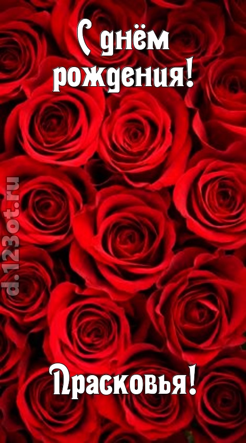 остроумная открытка с днём рождения прасковья, скачать онлайн бесплатно на iphone для вацап, поздравление прасковья