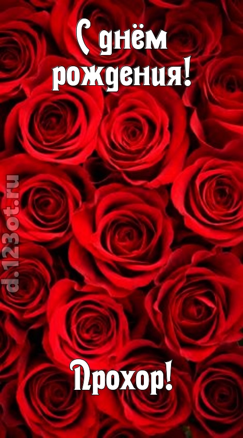 остроумная открытка с днём рождения прохор, скачать онлайн бесплатно на iphone для вацап, поздравление прохор