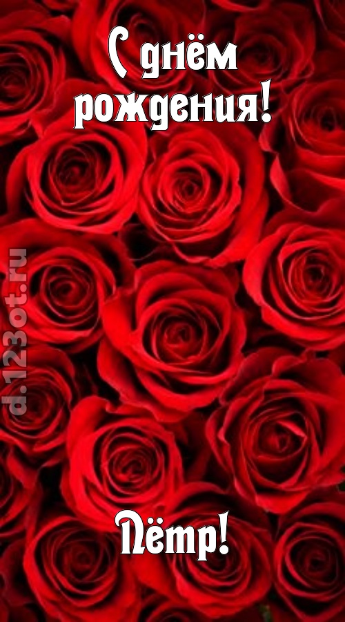 остроумная открытка с днём рождения пётр, скачать онлайн бесплатно на iphone для вацап, поздравление пётр