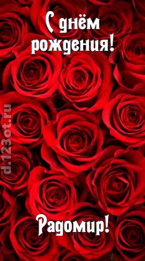 остроумная открытка с днём рождения радомир, скачать онлайн бесплатно на iphone для вацап, поздравление радомир