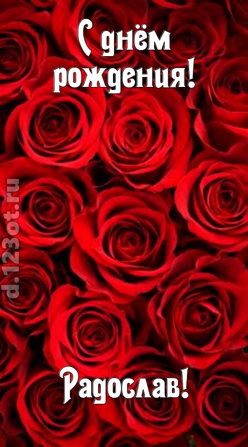 остроумная открытка с днём рождения радослав, скачать онлайн бесплатно на iphone для вацап, поздравление радослав