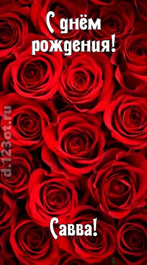 остроумная открытка с днём рождения савва, скачать онлайн бесплатно на iphone для вацап, поздравление савва
