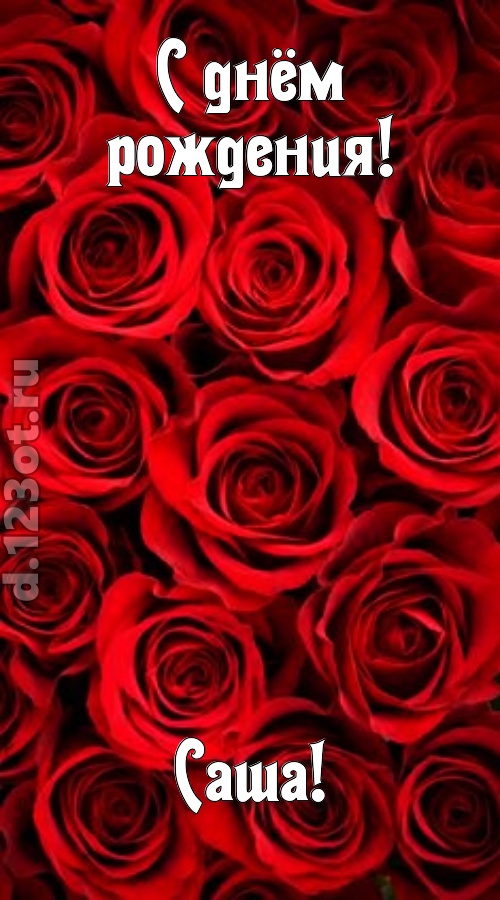 остроумная открытка с днём рождения саша, скачать онлайн бесплатно на iphone для вацап, поздравление саша
