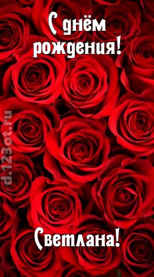 остроумная открытка с днём рождения светлана, скачать онлайн бесплатно на iphone для вацап, поздравление светлана