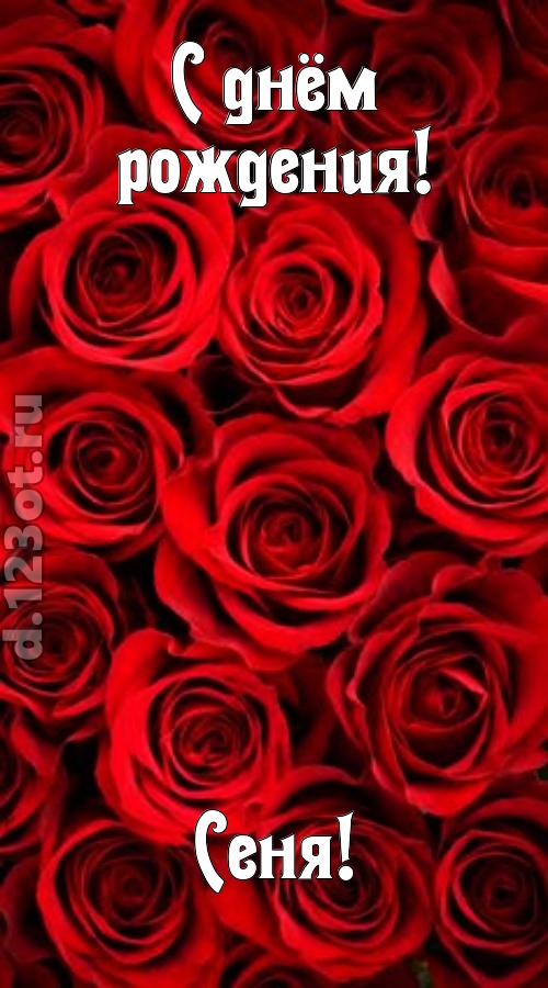 остроумная открытка с днём рождения сеня, скачать онлайн бесплатно на iphone для вацап, поздравление сеня