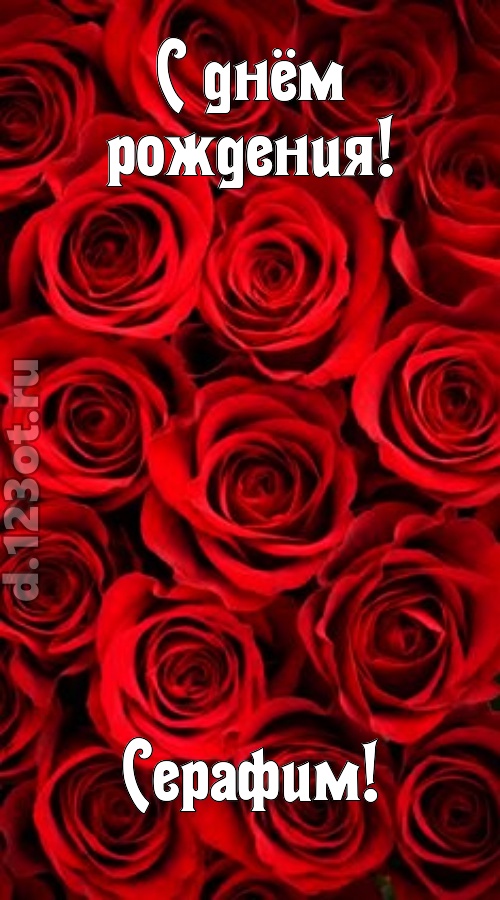 остроумная открытка с днём рождения серафим, скачать онлайн бесплатно на iphone для вацап, поздравление серафим
