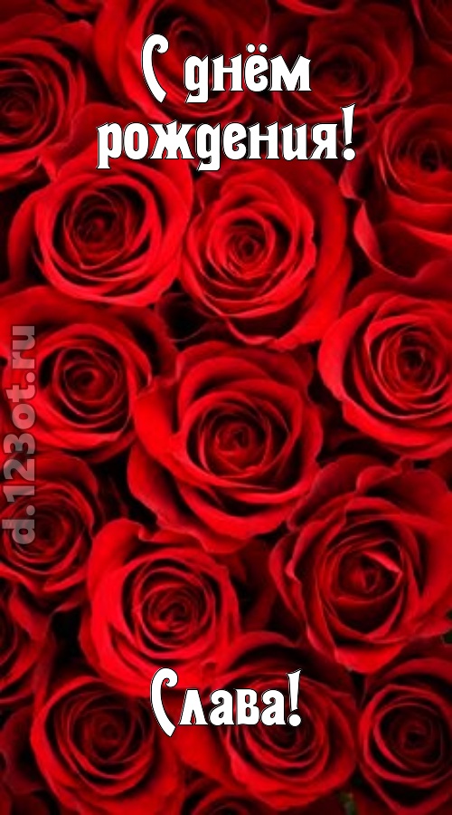 остроумная открытка с днём рождения слава, скачать онлайн бесплатно на iphone для вацап, поздравление слава