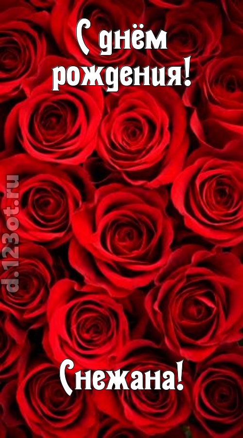 остроумная открытка с днём рождения снежана, скачать онлайн бесплатно на iphone для вацап, поздравление снежана