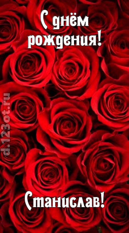 остроумная открытка с днём рождения станислав, скачать онлайн бесплатно на iphone для вацап, поздравление станислав