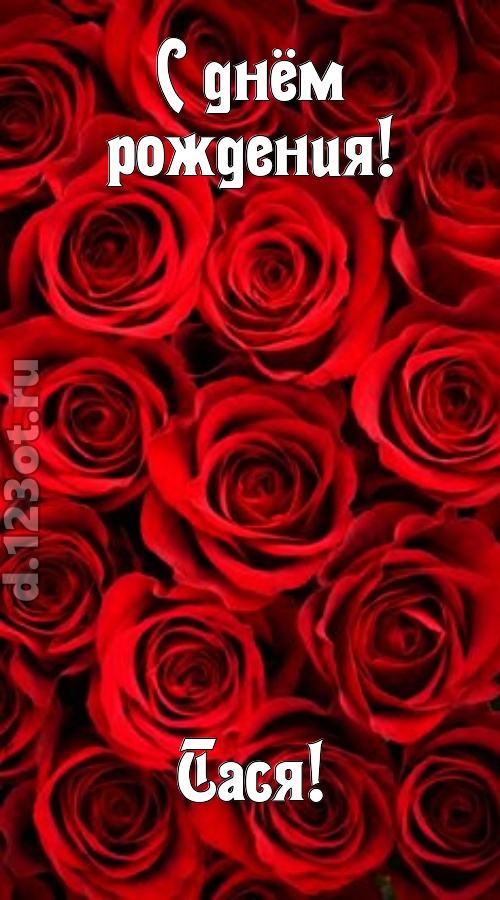 остроумная открытка с днём рождения тася, скачать онлайн бесплатно на iphone для вацап, поздравление тася